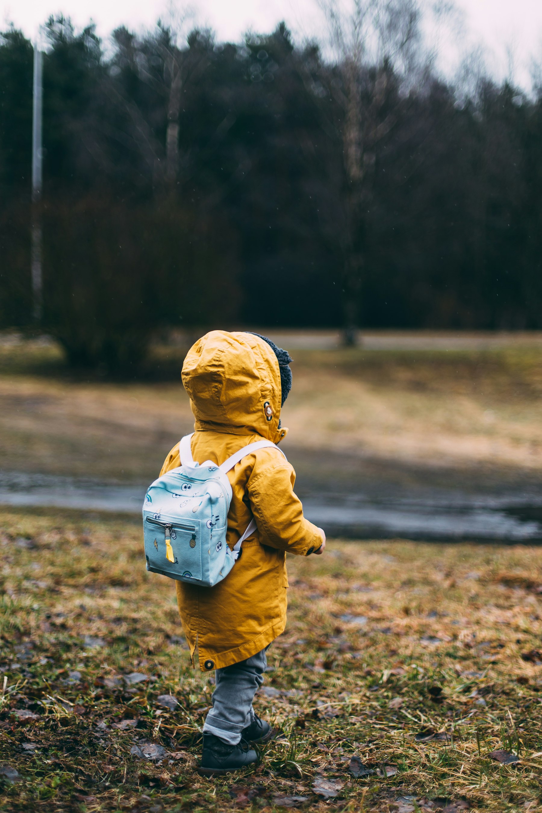 Niño de espaldas con una campera amarilla con capucha y una mochila celeste, caminando por un parque en otoño